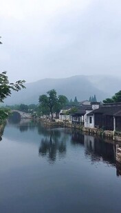 江南水乡静谧湖畔风光