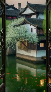 中式园林水景雅致风光