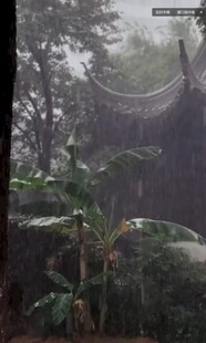 雨林中的神秘古老建筑