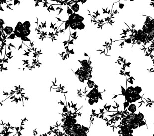黑白花卉图案纹理背景