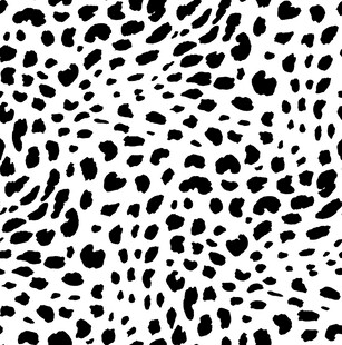 黑白豹纹纹理图案