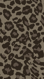 豹纹图案布料纹理