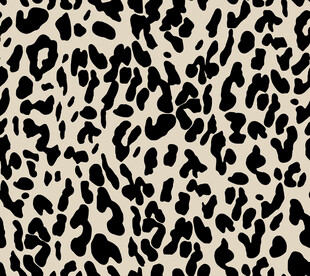 豹纹图案背景纹理