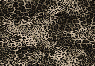 豹纹图案纹理背景图