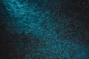 蓝黑色渐变纹理背景图