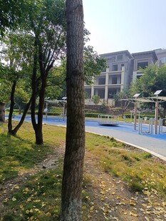 校园旁的户外休闲场景