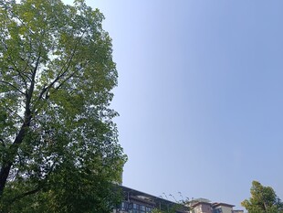 蓝天绿树旁的建筑