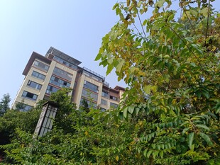 绿树环绕中的多层建筑