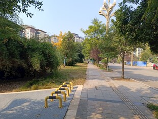 公园林荫下的休闲小径