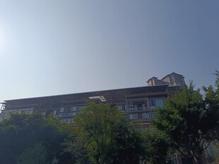 阳光下的建筑与绿树景观