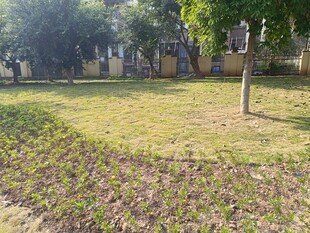 美丽庭院中的花草树木