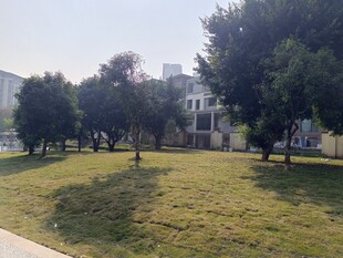 户外草地旁的树木与建筑