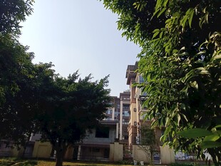 绿树环绕的居民楼