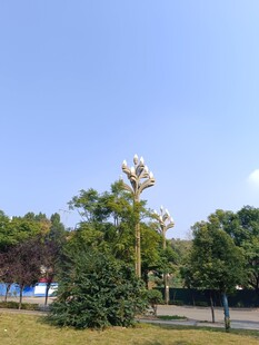 户外绿树蓝天景致