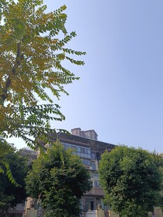 绿树掩映中的古老建筑