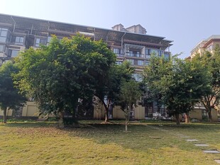 校园绿树环绕的建筑景观