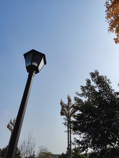 户外路灯与树木景观