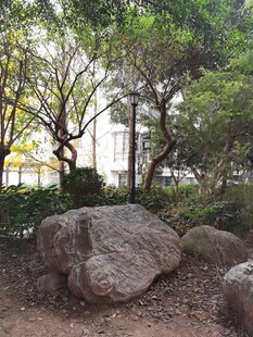 园林中的巨石与繁茂树木