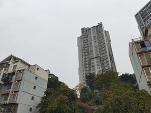 城市中的高层住宅楼景