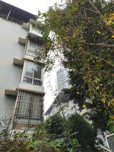 楼房旁繁茂绿植景观