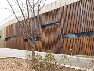 木质外墙建筑旁绿植景观