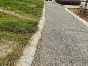 户外水泥小径与草地景观