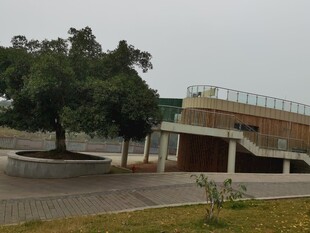 户外建筑旁的绿树景观