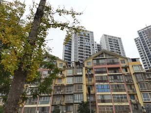 城市中错落的居民楼景观