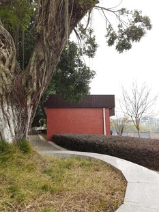 古树下的红墙小径