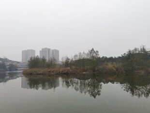 雾中湖畔城市倒影