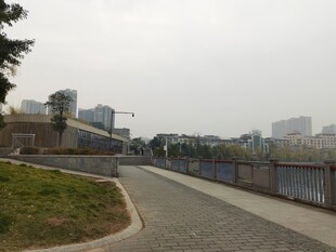 城市中的幽静步道景观