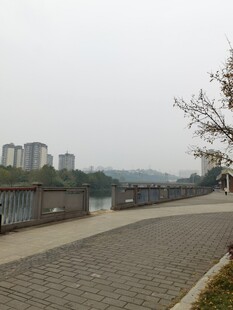 城市河畔步道风景