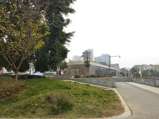 城市路边绿化带景观