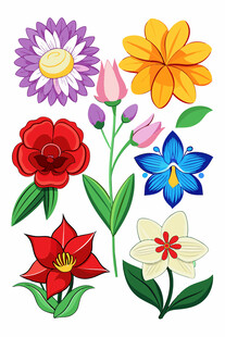 多彩花卉插画