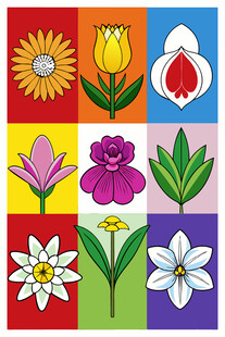 多彩花卉图案集合