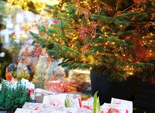 圣诞树下的多彩礼物