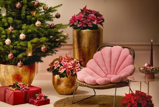 圣诞家居装饰温馨场景