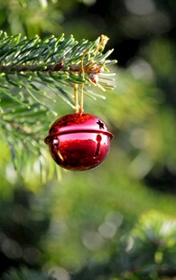 圣诞树上的红色铃铛