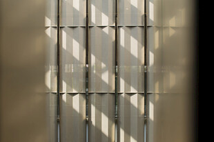 光影透过铁栅栏的景象