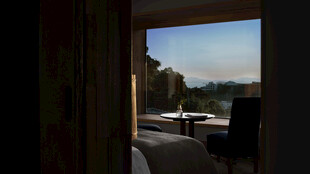 透过门窗望向外景的空间