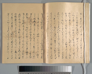 古籍书页传统文字之美