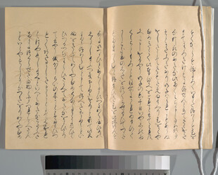 古籍书页传统书法文字展示