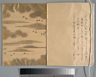 古代书法纸张展示