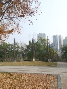 秋日城市公园静谧景致