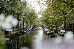 宁静河畔的绿意街道风光