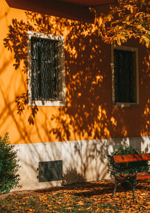 秋日庭院中的温馨景致