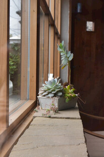 木质窗边的清新绿植角落