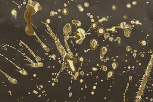 金色泼墨艺术效果画面