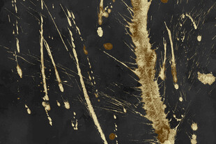 显微镜下的丝状微生物样本