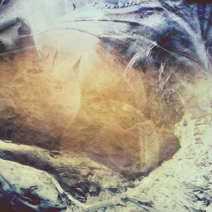 梦幻光影下的神秘景象